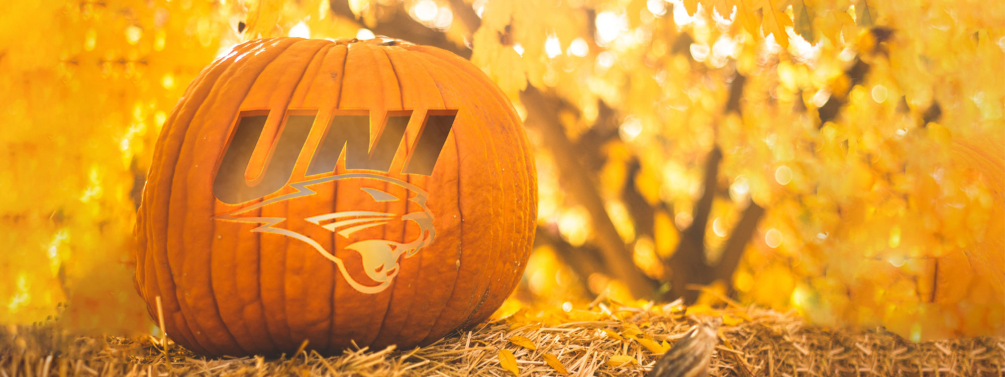 UNI Pumpkin Carving