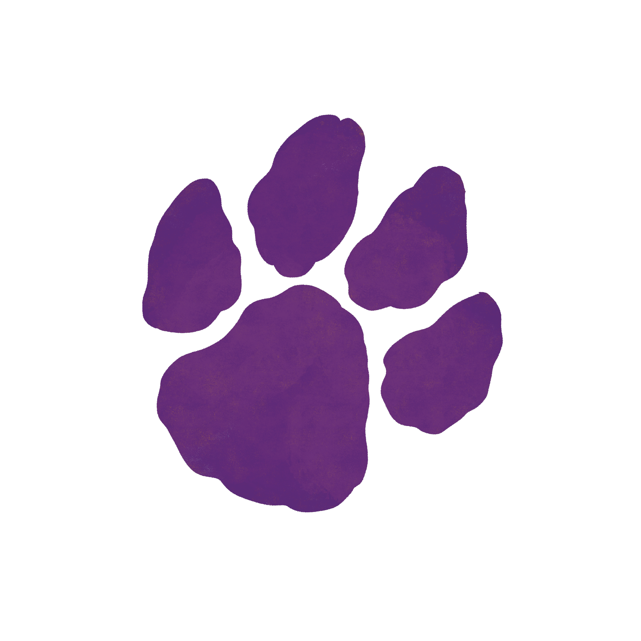 Illustration of a Panther paw.