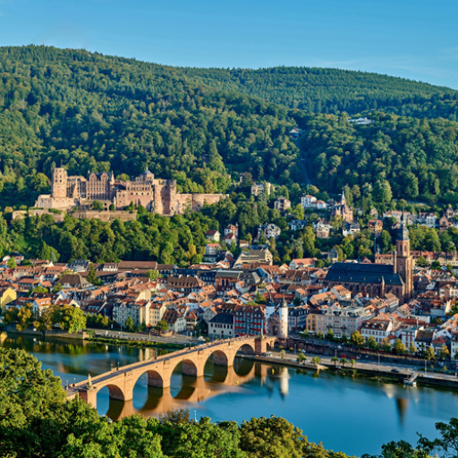 Heidelberg, Germany, seen from above