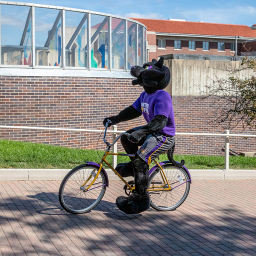 TK Panther riding a bicycle on UNI's campus